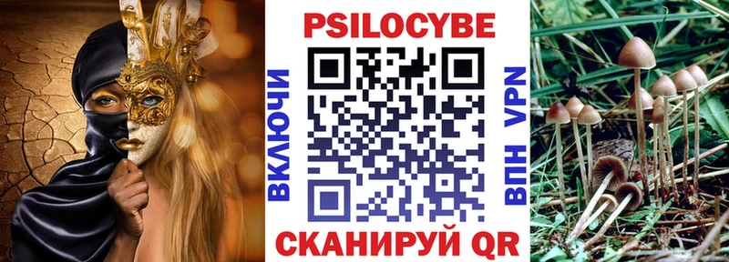 как найти закладки  Горняк  дарк нет наркотические препараты  Галлюциногенные грибы Magic Shrooms 